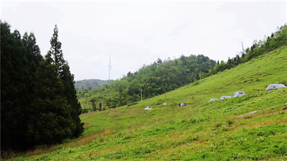 岐山草原。通讯员 洪琳 摄