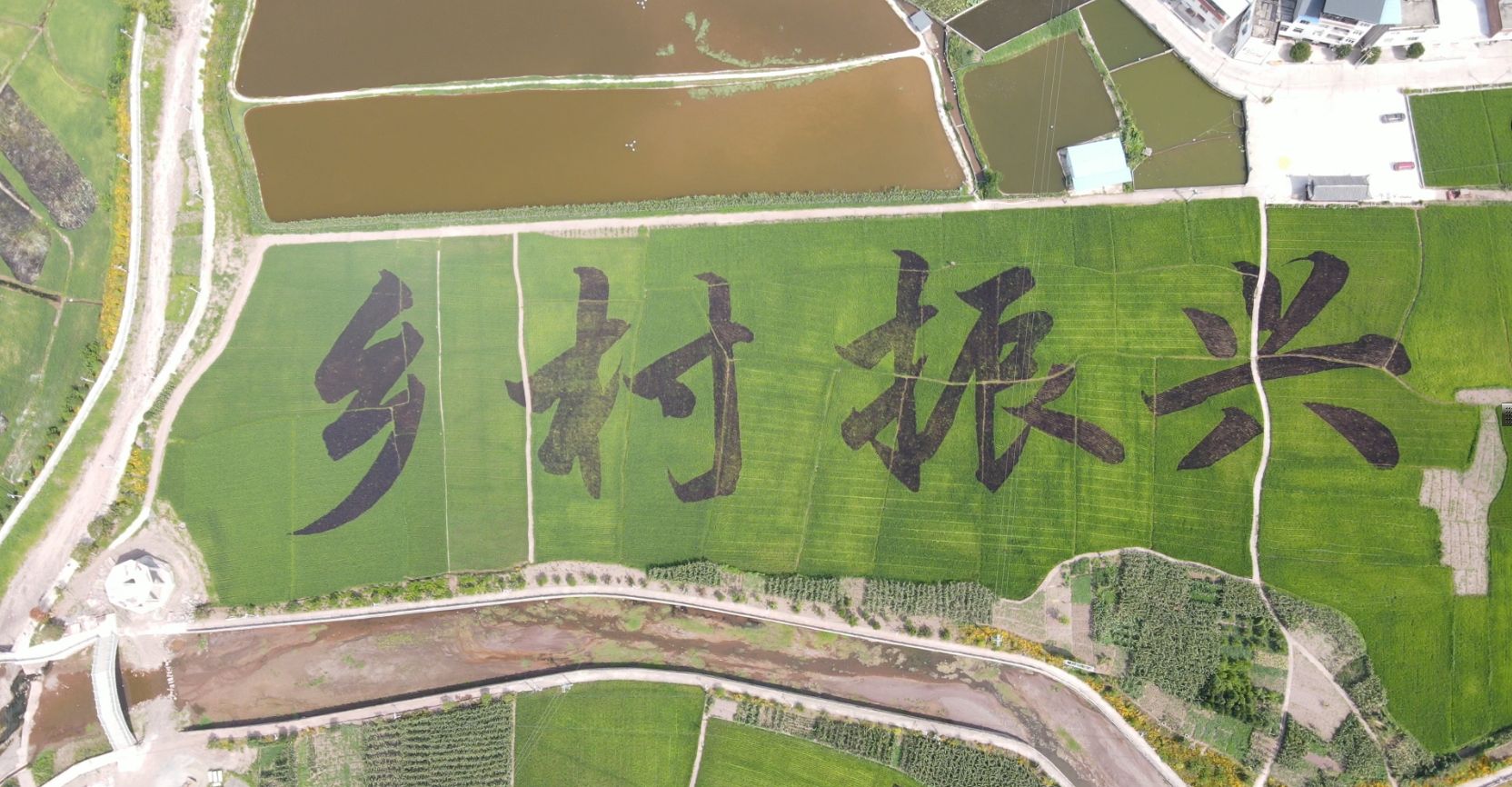 长春市双阳区深入推进农村人居环境整治-中国吉林网