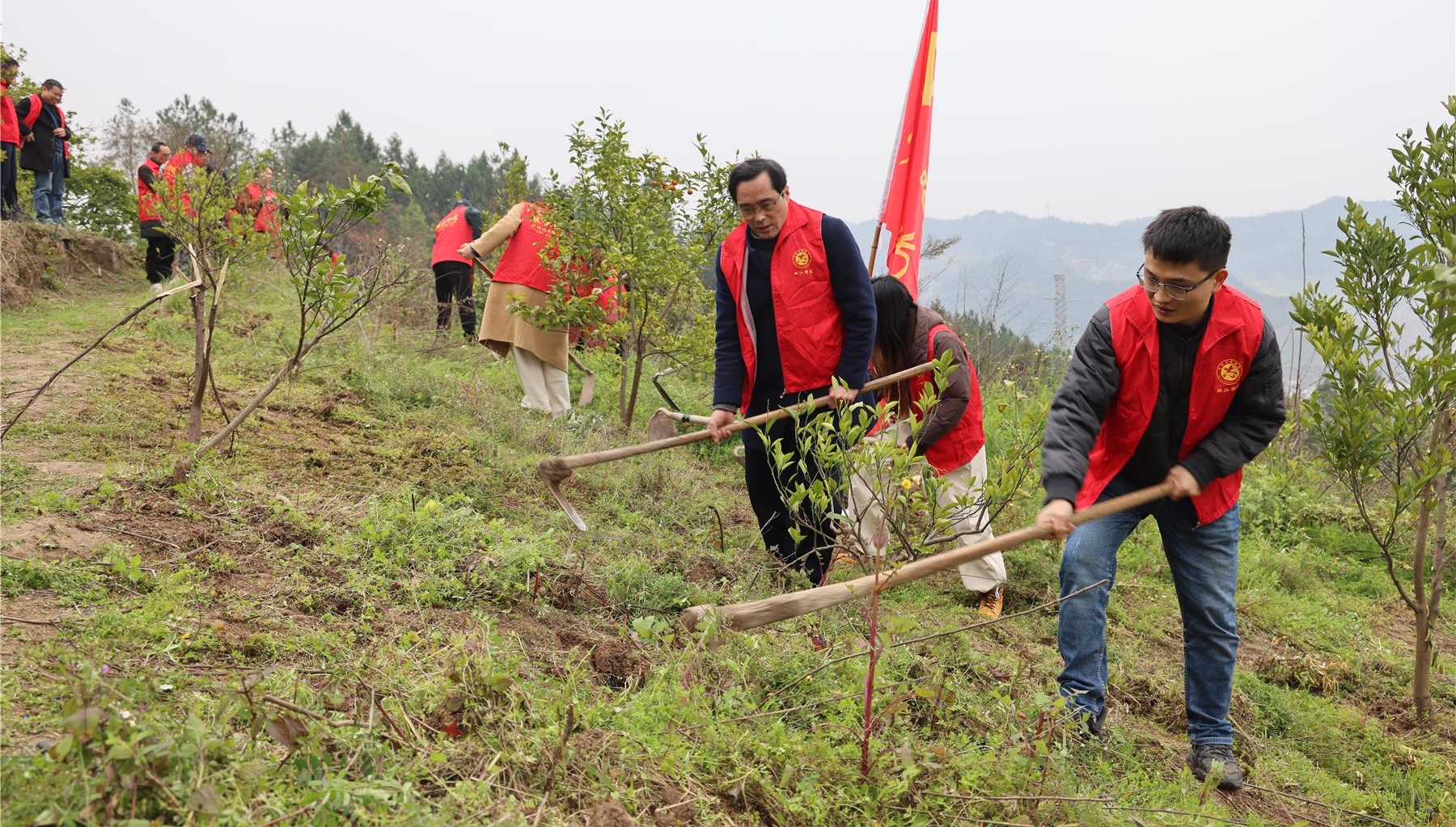  双江街道开展“护林护路”志愿活动