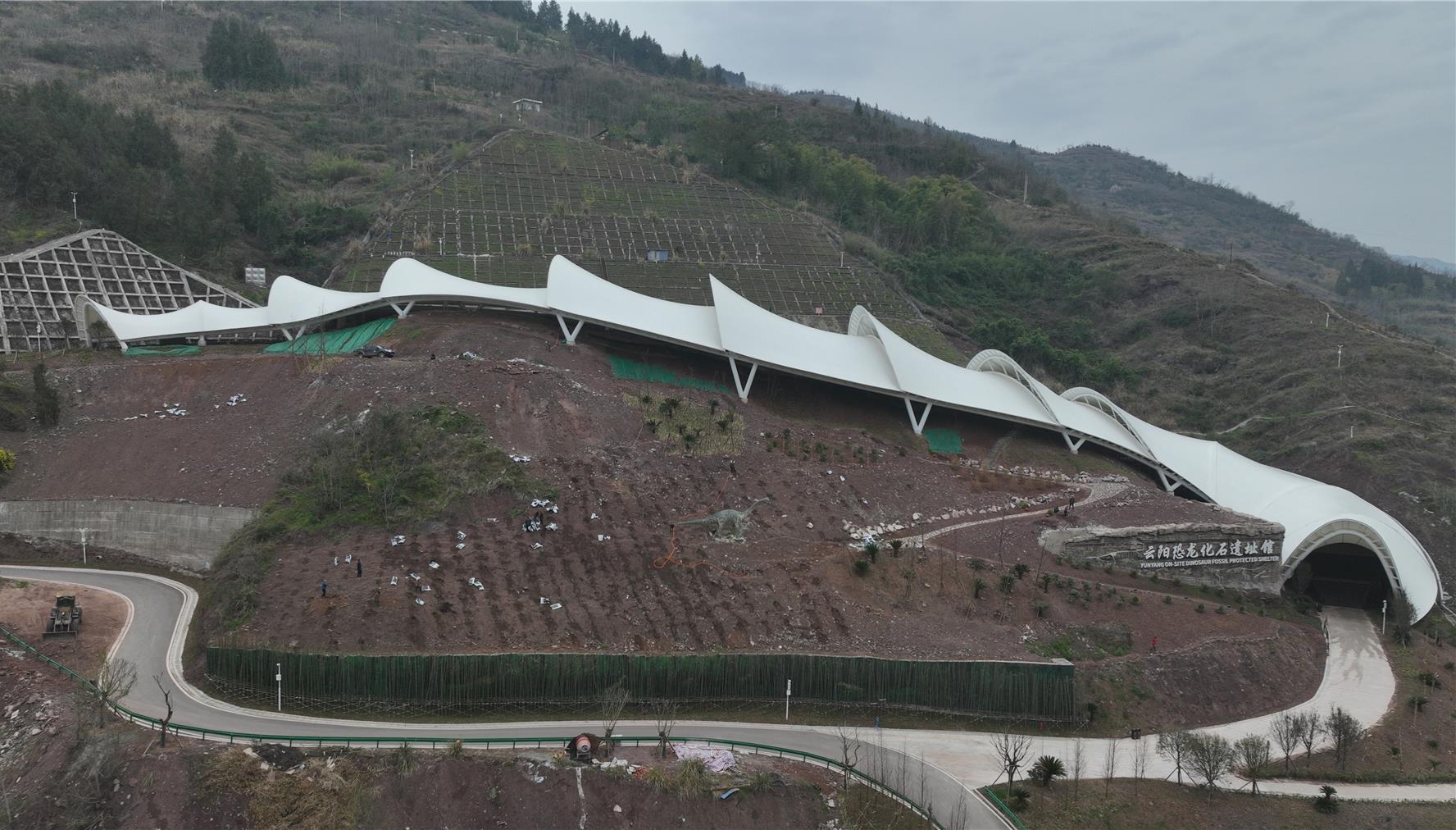  400余株崖柏树苗“安家”云阳地质公园