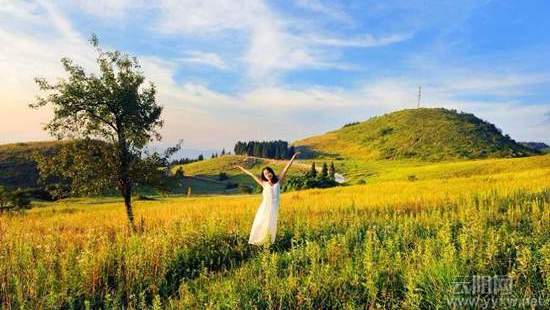 魅力云阳.天下龙缸 云阳欢迎您