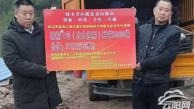 双土镇：爱心企业捐赠5000株树苗