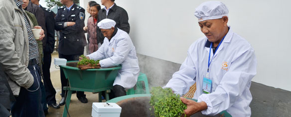 观制茶工艺