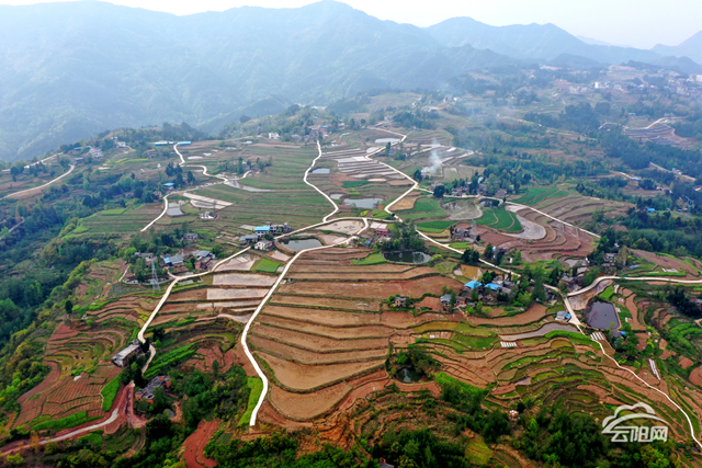拳脚 br> /font>双土镇坪天田园综合体项目风生水起-云阳网深度报道