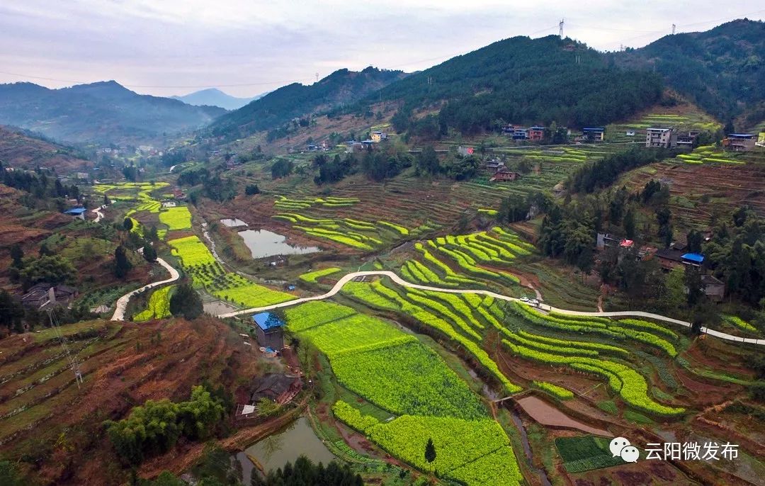 双晒双评南溪镇农业工业环境整治成果