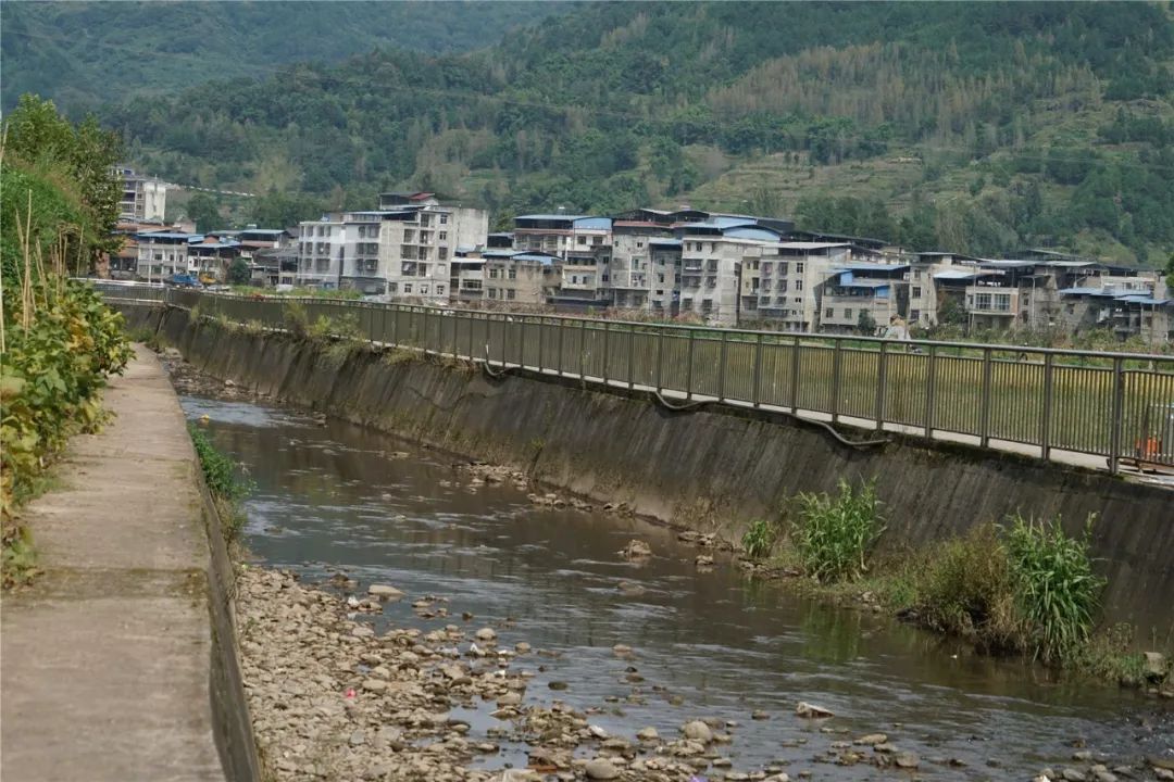 我为群众办实事|路阳镇:修建护栏暖民心 筑牢道路安全网- 云阳网-云阳