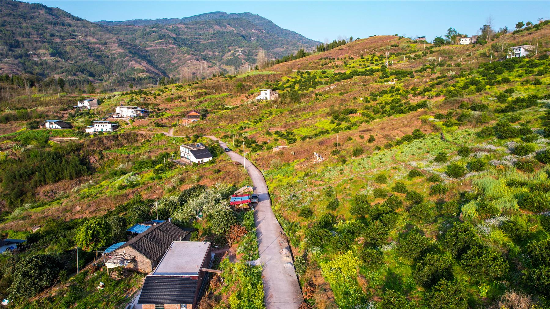 高阳镇:最美乡村春日盛景 踏青赏花正当时- 云阳网-云阳新闻-云阳县融