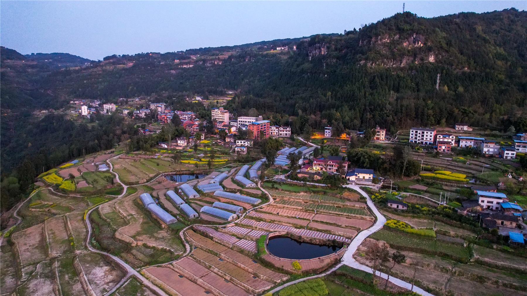 高阳镇:最美乡村春日盛景 踏青赏花正当时- 云阳网-云阳新闻-云阳县融