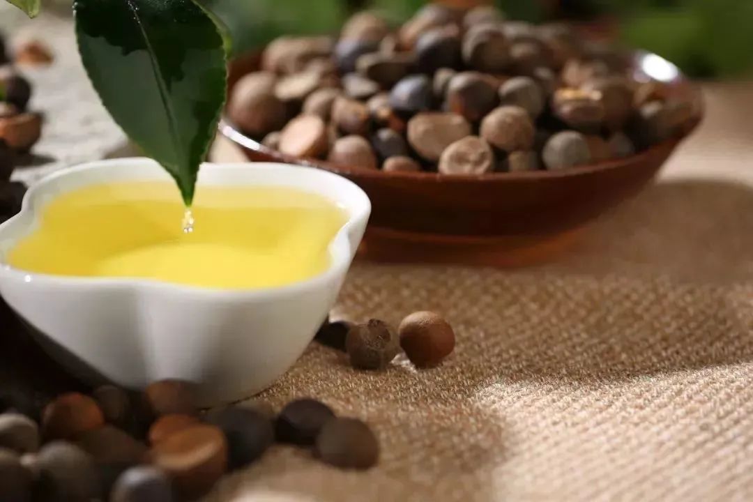 全县首家在云阳也能吃上本土高品质山茶油