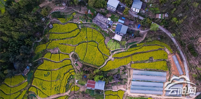 沙市镇:让"沉睡"土地焕发出致富新活力- 云阳网-云阳新闻-云阳县融