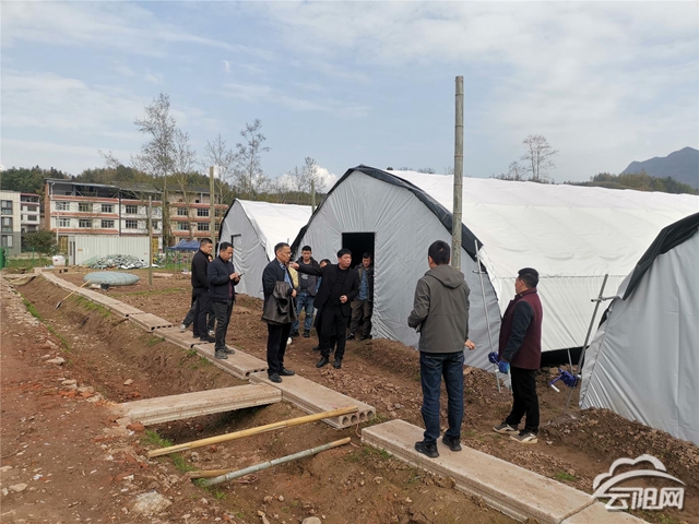 成都食用菌专家团队到桑坪镇考察产业发展成效