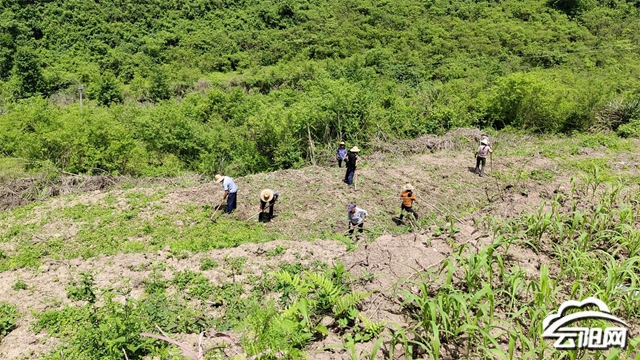 外郎乡开展撂荒地复耕复种工作- 云阳网-云阳新闻-云阳县融媒体中心