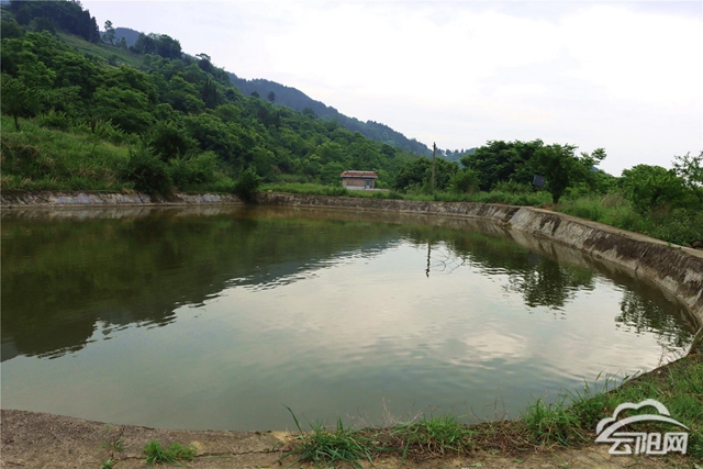 龙角镇:整治"小山塘"惠及"大民生"