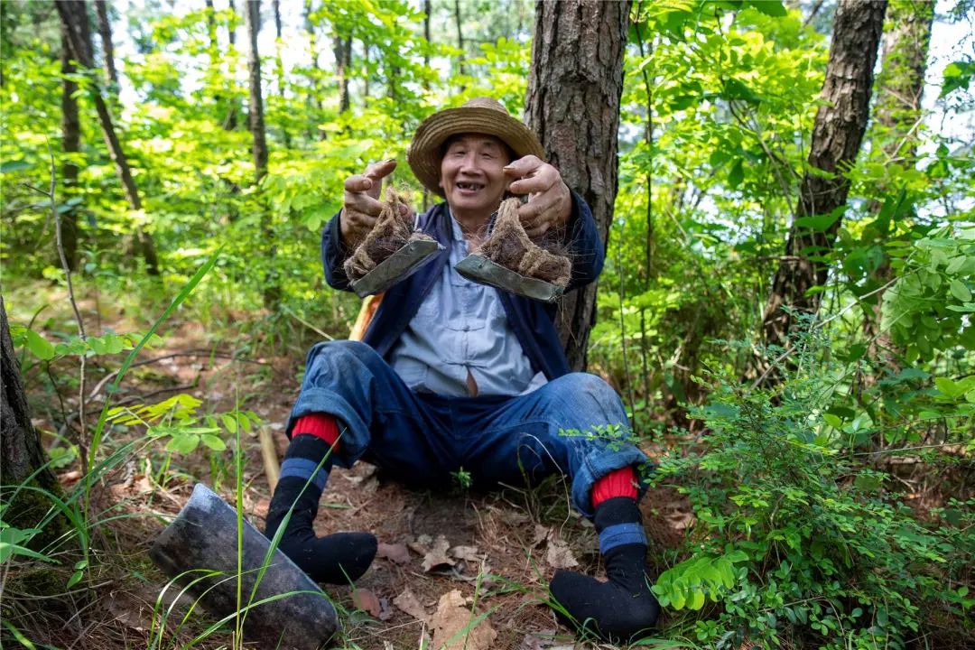 残疾农民跪着义务植树40年,昔日"赖子头" 如今绿满山