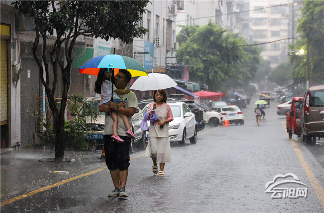重庆市云阳县天气在线 重庆市云阳县天气在线
